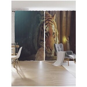 Шторы под лён JoyArty "Скучающий тигр", серия Oxford DeLux, 340х265 см