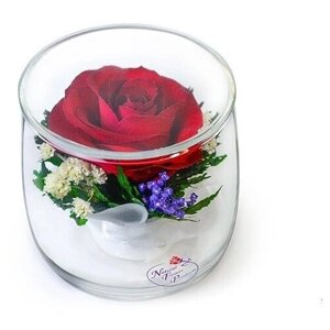 Стабилизированные цветы в стекле "Мини Ми"композиция из красной розы в вакууме
