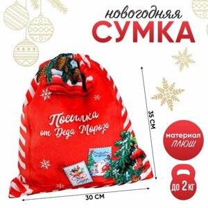 Сумка детская новогодняя «Посылка от Деда Мороза», 35 х 30 см, на новый год