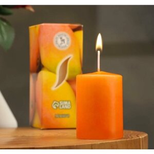 Свеча ароматическая "Манго", 4*6 см, в коробке
