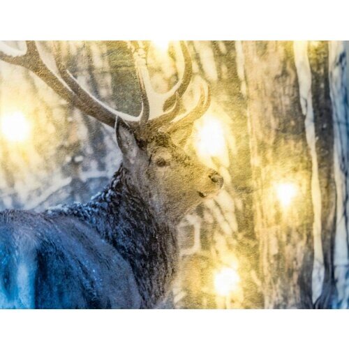 Светящаяся подушка олень В лесных огнях, 8 тёплых белых LED-огней, 45х45 см, батарейки, Peha Magic