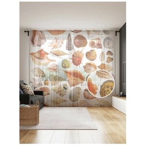 Тюль для кухни и спальни JoyArty "Коллекция ракушек", 2 полотна со шторной лентой шириной по 145 см, высота 265 см.