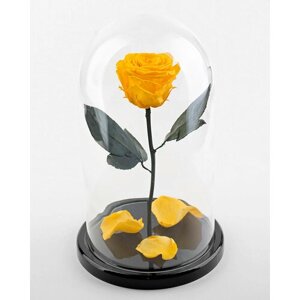 "Желтая премиум роза в колбе " в подарочной коробке с вау-эффектом /26 см / Живет 5 лет
