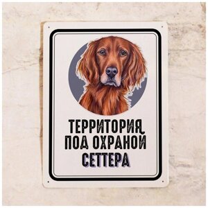 Жестяная табличка Территория под охраной Сеттера для декора дома на дверь , оригинальный подарок владельцу собаки , металл, 20х30см.