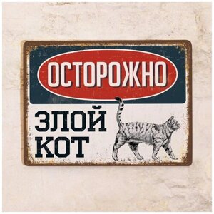 Жестяная табличка Злой кот - Серый (табби), металл, 30Х40 см