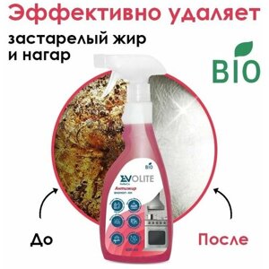 Антижир спрей - Средство для чистки плит и духовок (Evolite HoReCa), 550 мл