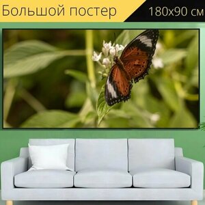 Большой постер "Бабочка, насекомое, цветы" 180 x 90 см. для интерьера