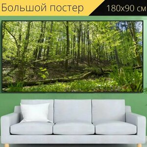 Большой постер "Природа, лес, зеленый" 180 x 90 см. для интерьера
