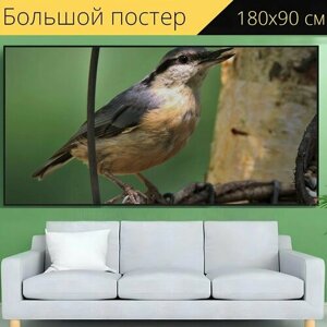 Большой постер "Птица, поползень, певчая птица" 180 x 90 см. для интерьера