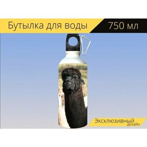 Бутылка фляга для воды "Альпака, лама, животное" 750 мл. с карабином и принтом