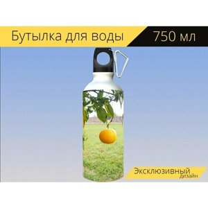 Бутылка фляга для воды "Апельсин, фрукты, апельсиновое дерево" 750 мл. с карабином и принтом