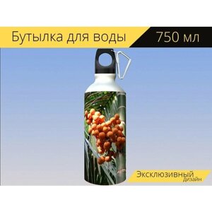 Бутылка фляга для воды "Arecanut, плодов бетельной пальмы, орех" 750 мл. с карабином и принтом