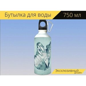 Бутылка фляга для воды "Бабочка, синий, насекомое" 750 мл. с карабином и принтом