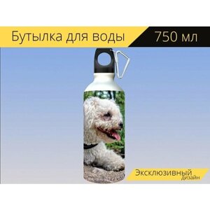 Бутылка фляга для воды "Бишон фризе, bichoh, собака" 750 мл. с карабином и принтом