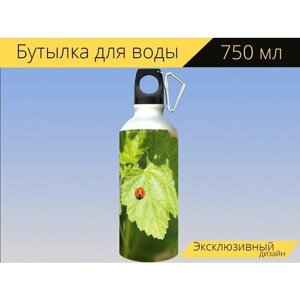 Бутылка фляга для воды "Божья коровка, крапива, цветок" 750 мл. с карабином и принтом