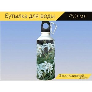 Бутылка фляга для воды "Цветок, альпийские цветы, эдельвейс" 750 мл. с карабином и принтом