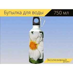 Бутылка фляга для воды "Цветок, белый, чертово золото" 750 мл. с карабином и принтом