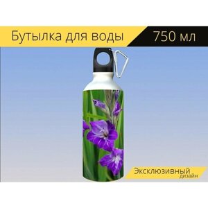 Бутылка фляга для воды "Гладиолус, цветок, фиолетовый" 750 мл. с карабином и принтом