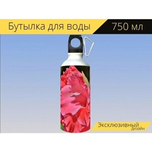 Бутылка фляга для воды "Гладиолус, gladidus, бабочка теплицы" 750 мл. с карабином и принтом