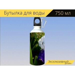 Бутылка фляга для воды "Ирис, цветы, растения" 750 мл. с карабином и принтом