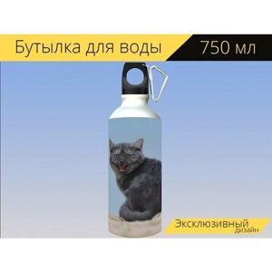 Бутылка фляга для воды "Кот, пляж, молодой кот" 750 мл. с карабином и принтом