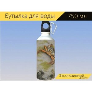 Бутылка фляга для воды "Краб, балтийское море, песок краб" 750 мл. с карабином и принтом