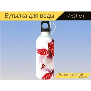 Бутылка фляга для воды "Красный, розовый, орхидея" 750 мл. с карабином и принтом