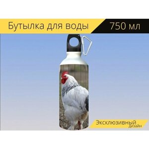 Бутылка фляга для воды "Курица, петушиный гребень, хахн" 750 мл. с карабином и принтом