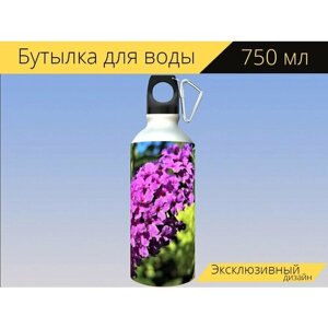 Бутылка фляга для воды "Летний сиреневый, цветы, фиолетовые цветы" 750 мл. с карабином и принтом