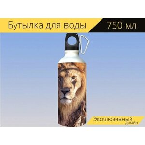 Бутылка фляга для воды "Лев, хищник, опасный" 750 мл. с карабином и принтом