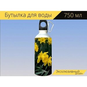 Бутылка фляга для воды "Нарцисс, цветок, нарциссы" 750 мл. с карабином и принтом