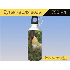 Бутылка фляга для воды "Петух, курица, птица" 750 мл. с карабином и принтом