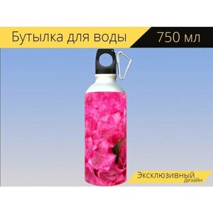 Бутылка фляга для воды "Пионы, кустарник, сад государство шоу" 750 мл. с карабином и принтом