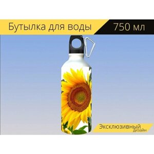 Бутылка фляга для воды "Подсолнух, желтый, цвести" 750 мл. с карабином и принтом