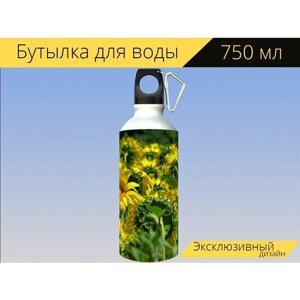 Бутылка фляга для воды "Подсолнухи, подсолнечное поле, цветок" 750 мл. с карабином и принтом