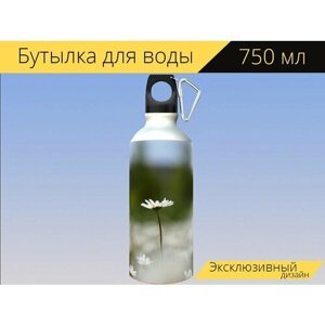 Бутылка фляга для воды "Природа, маргаритка, поле цветов" 750 мл. с карабином и принтом