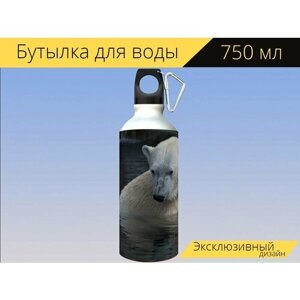 Бутылка фляга для воды "Природа, полярный медведь, белый" 750 мл. с карабином и принтом