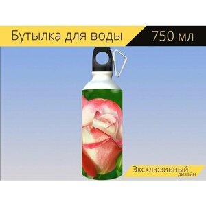 Бутылка фляга для воды "Роза красная, цветок, пакеты" 750 мл. с карабином и принтом