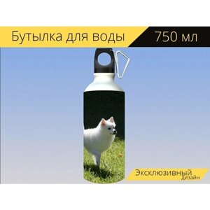 Бутылка фляга для воды "Шпиц, домашний питомец, собака" 750 мл. с карабином и принтом