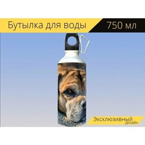 Бутылка фляга для воды "Собака, домашнее животное, четвероногий" 750 мл. с карабином и принтом