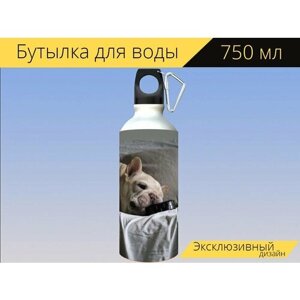 Бутылка фляга для воды "Собака, мило, французский бульдог" 750 мл. с карабином и принтом
