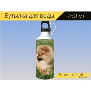 Бутылка фляга для воды "Собака, миниатюрный шпиц, животные" 750 мл. с карабином и принтом