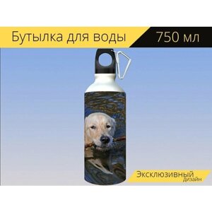 Бутылка фляга для воды "Собака, плавать, животное" 750 мл. с карабином и принтом