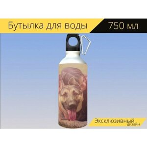 Бутылка фляга для воды "Собака, ребенок, немецкая овчарка" 750 мл. с карабином и принтом