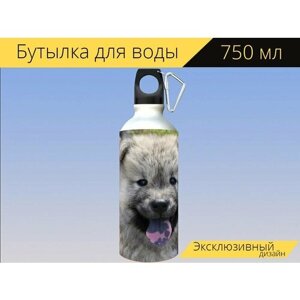 Бутылка фляга для воды "Собака, собачий, щенок" 750 мл. с карабином и принтом
