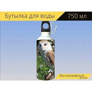 Бутылка фляга для воды "Сова, птица, дикая природа" 750 мл. с карабином и принтом