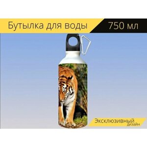 Бутылка фляга для воды "Тигр, большой кот, хищник" 750 мл. с карабином и принтом