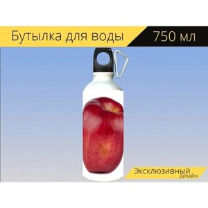 Бутылка фляга для воды "Яблоко, красный, fr" 750 мл. с карабином и принтом