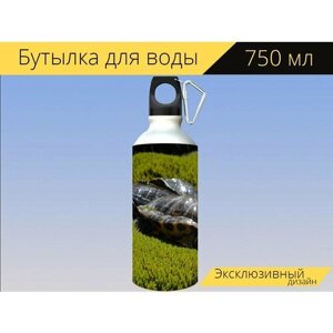 Бутылка фляга для воды "Животные, черепаха, зеленый" 750 мл. с карабином и принтом