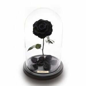 Черная роза в колбе "люкс" с подарочной коробкой/32 см